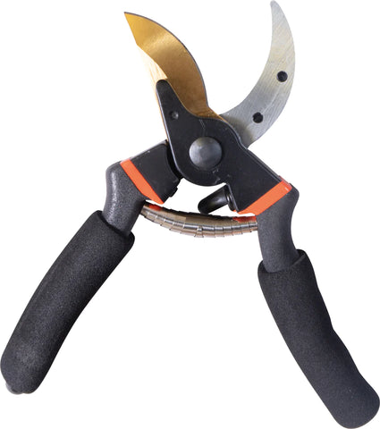 Pruning Shears