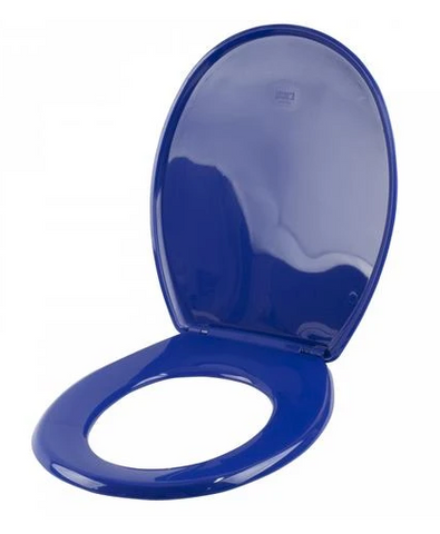 The Blue Coloured Toilet Seat
