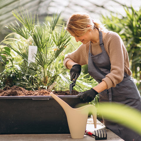 Woman in a greenhouse potting some plants into a trough