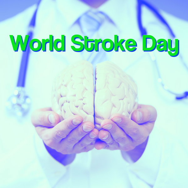 Text reads World Stroke Day, with doctor holding a model of a brain