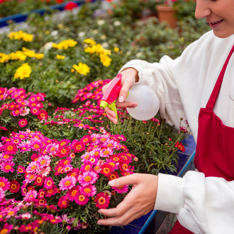 Lady pruning flowers enjoying gardening