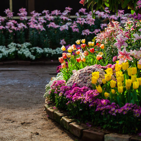 Path with heavily stocked flowerbeds