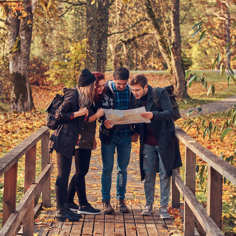 A group of four friends are standing in a wood where the leaves are very autumnal. The friends look very happy and are looking at a map, working out where they are going
