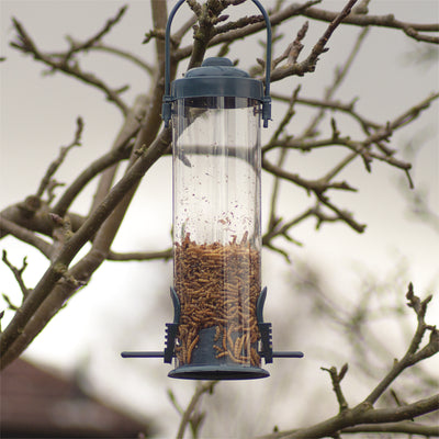 Squirrel Resistant Bird Feeder – Ability Superstore