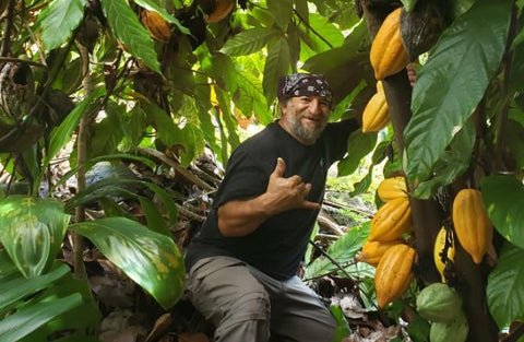 The Curiosity of Cacao