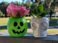 Halloween Plant Ideas