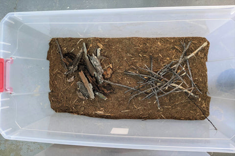 Tub with mixed substrate, sticks, and bark pieces