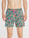 The Bloomerangs 5.5" (Lined Classic Swim Trunk) - Image 4 - Chubbies Shorts