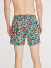 The Bloomerangs 5.5" (Lined Classic Swim Trunk) - Image 2 - Chubbies Shorts