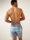The Cadillacs 5.5" (Classic Lined Swim Trunk) - Image 2 - Chubbies Shorts