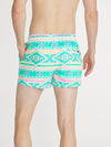 The En Fuegos 4" (Lined Classic Swim Trunk) - Image 2 - Chubbies Shorts