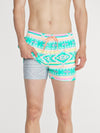The En Fuegos 4" (Lined Classic Swim Trunk) - Image 1 - Chubbies Shorts