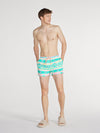 The En Fuegos 4" (Lined Classic Swim Trunk) - Image 6 - Chubbies Shorts