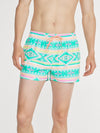 The En Fuegos 4" (Classic Swim Trunk) - Image 1 - Chubbies Shorts