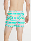 The En Fuegos 4" (Classic Swim Trunk) - Image 2 - Chubbies Shorts