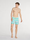 The En Fuegos 5.5" (Classic Swim Trunk) - Image 5 - Chubbies Shorts