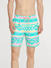 The En Fuegos 7" (Lined Classic Swim Trunk) - Image 2 - Chubbies Shorts