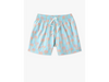 The Grooves 5.5" (Classic Swim Trunk) - Image 1 - Chubbies Shorts