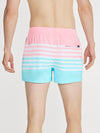 The On The Horizons 4" (Lined Classic Swim Trunk) - Image 2 - Chubbies Shorts