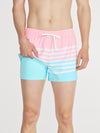 The On The Horizons 4" (Lined Classic Swim Trunk) - Image 1 - Chubbies Shorts