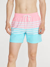 The On The Horizons 5.5" (Lined Classic Swim Trunk) - Image 6 - Chubbies Shorts