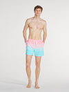 The On The Horizons 5.5" (Lined Classic Swim Trunk) - Image 5 - Chubbies Shorts