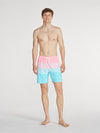 The On The Horizons 7" (Lined Classic Swim Trunk) - Image 6 - Chubbies Shorts