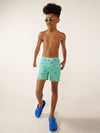The Apex Swimmers (Boys Classic Lined Swim Trunk) - Image 5 - Chubbies Shorts