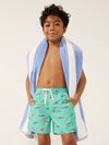 The Apex Swimmers (Boys Classic Swim Trunk) - Image 1 - Chubbies Shorts