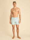 The Grooves 5.5" (Classic Swim Trunk) - Image 5 - Chubbies Shorts