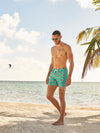 The Apex Swimmers 5.5" (Lined Classic Swim Trunk) - Image 2 - Chubbies Shorts