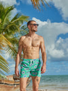 The Apex Swimmers 5.5" (Classic Swim Trunk) - Image 3 - Chubbies Shorts