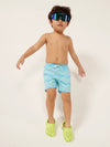 The Lil Desert Dawns (Toddler Classic Swim Trunk) - Image 4 - Chubbies Shorts