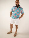 The M is for Madras (Performance Polo) - Image 4 - Chubbies Shorts