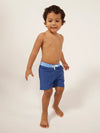 The Mini Blues (Toddler Classic Swim Trunk) - Image 5 - Chubbies Shorts