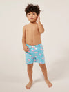 The Mini Mingos (Toddler Swim) - Image 1 - Chubbies Shorts