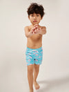 The Mini Mingos (Toddler Swim) - Image 5 - Chubbies Shorts