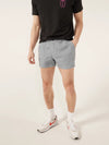 The Misty Breezes 4" (Originals) - Image 4 - Chubbies Shorts