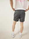 The Musts 5.5" (Stretch) - Image 3 - Chubbies Shorts