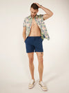 The New Avenues 6" (Lined Everywear Performance Short) - Image 8 - Chubbies Shorts