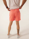 The New Englands 5.5" (Vintage Wash Originals) - Image 2 - Chubbies Shorts