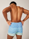 The Ocean Trifectas 4" (Classic Swim Trunk) - Image 2 - Chubbies Shorts