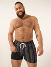 The Panoramas 4" (Classic Lined Swim Trunk) - Image 1 - Chubbies Shorts