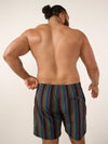 The Panoramas 5.5" (Classic Lined Swim Trunk) - Image 2 - Chubbies Shorts
