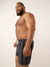 The Panoramas 5.5" (Classic Lined Swim Trunk) - Image 3 - Chubbies Shorts
