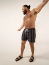 The Panoramas 5.5" (Classic Lined Swim Trunk) - Image 5 - Chubbies Shorts