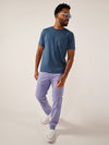 The Purple Hazes 30" (Vinatge Wash Originals Pants) - Image 4 - Chubbies Shorts