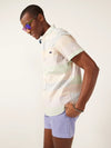 The Rainbow Row (Friday Shirt) - Image 3 - Chubbies Shorts