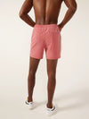 The Rizzberries 5.5" (Vintage Wash Sport Shorts) - Image 3 - Chubbies Shorts