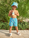 The Mini Mingos (Toddler Swim) - Image 2 - Chubbies Shorts